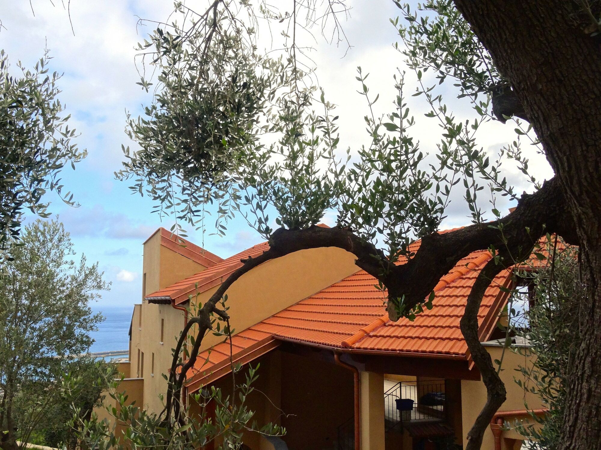 Agriturismo "I Castellari" Pietra Ligure Ngoại thất bức ảnh